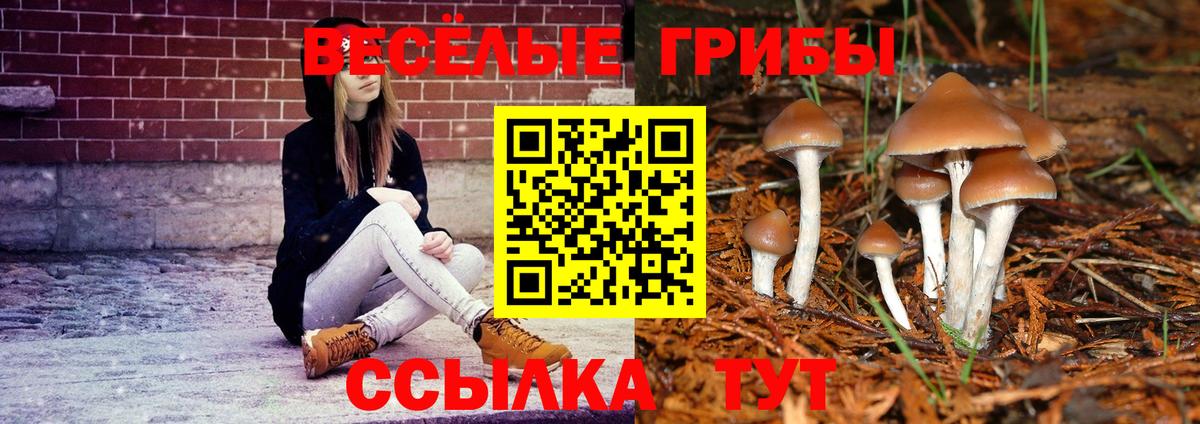 Галлюциногенные грибы Magic Shrooms  Вход с VPN  Горячий Ключ 